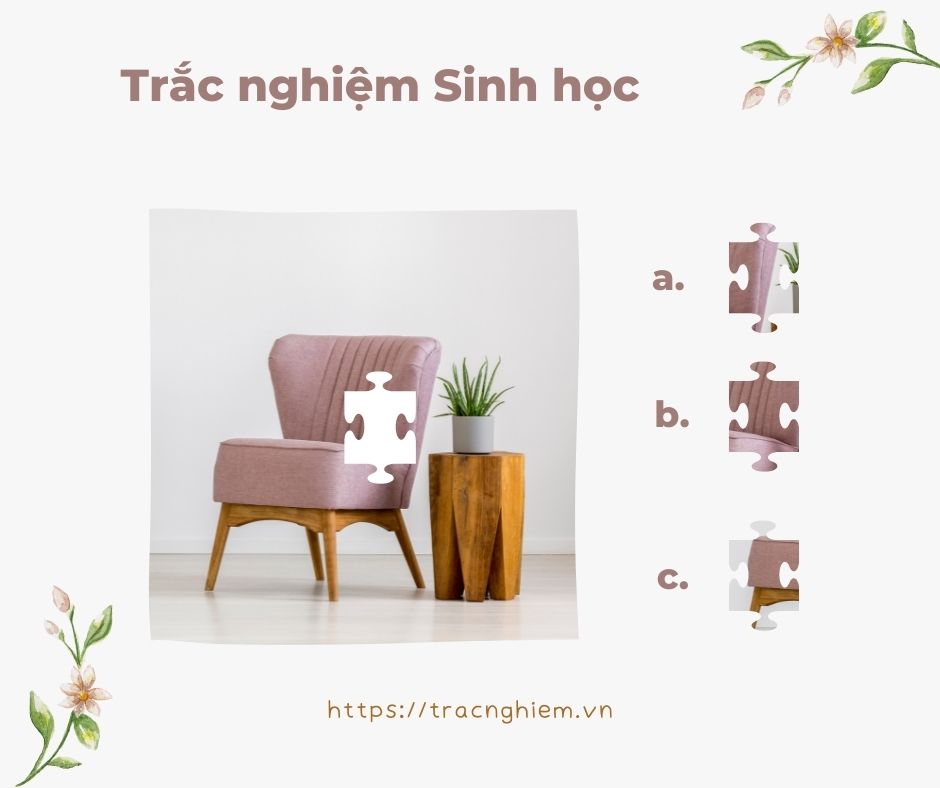 Đề thi trắc nghiệm THPT Quốc gia Năm 2017 Môn Sinh Học - Mã đề 204